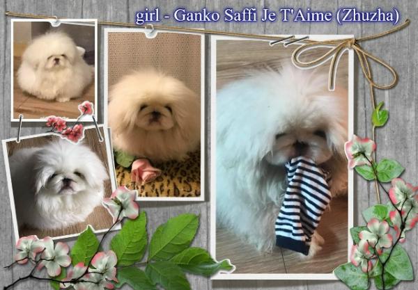 Прикрепленное изображение: dTxgYG58X7pLcu8L6oWpRERp58V14ckgtNZ5I5nkwuasWOqoYZXaFv8zmISAqkF5DI_A70CNxQT0c4hcervhwE7z.jpg